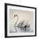 Stupell Industries Elegant Floating Swan Framed Print Under Glass, design by Sasha